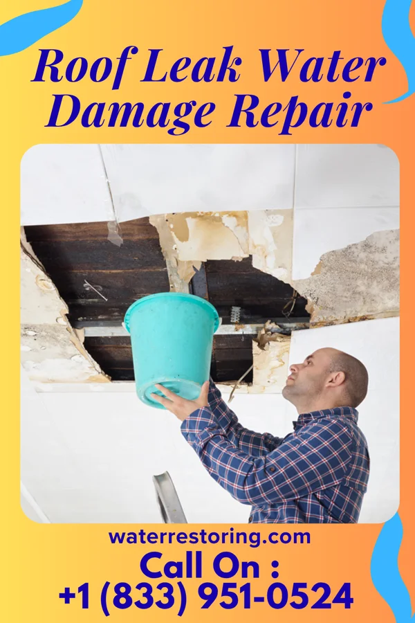 Roof Leak Water Damage Repair in Pine Mountain, GA