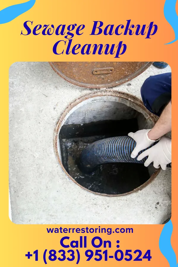 Sewage Backup Cleanup in Pine Mountain, GA